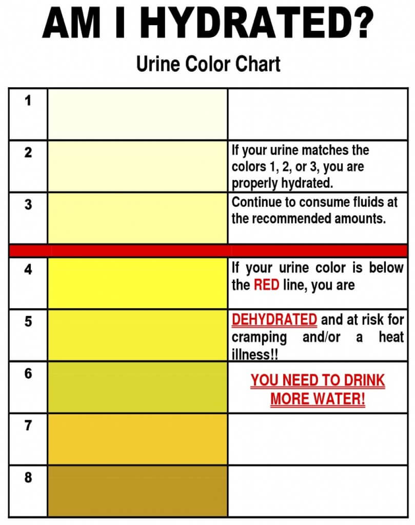 Bathroom Chart | Speed Secrets